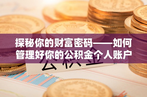 汤阴探秘你的财富密码——如何管理好你的公积金个人账户信息