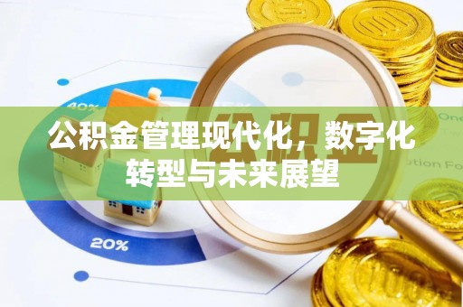汤阴公积金管理现代化，数字化转型与未来展望